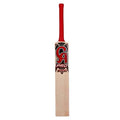 CA Pro 3000 Cricket Bat