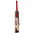 CA Pro 3000 Cricket Bat