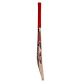 CA Pro 3000 Cricket Bat