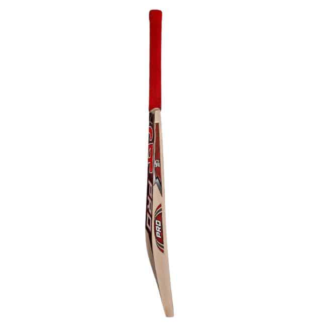 CA Pro 3000 Cricket Bat