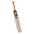CA Pro 5000 Cricket Bat