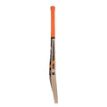 CA Pro 5K Cricket Bat