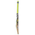 CA Pro 8000 Cricket Bat