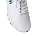 CA PRO BOOST (BLUE)