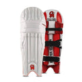 CA Pro Players Edition Cricket Kit