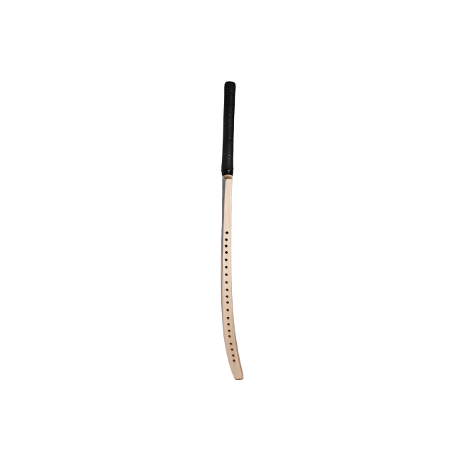 CA PRO Striker Cricket Bat