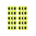 CA Swing soft ball (pack of 30)