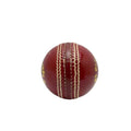 CC Pro League Cricket Ball