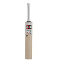 CC Titan Cricket Bat