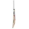 CC Titan Cricket Bat