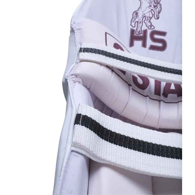 HS 2 Star Batting Pads