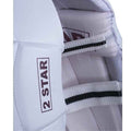 HS 2 Star Batting Pads