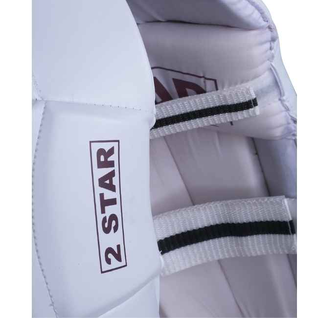 HS 2 Star Batting Pads