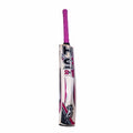 HS 2 Star Cricket Bat