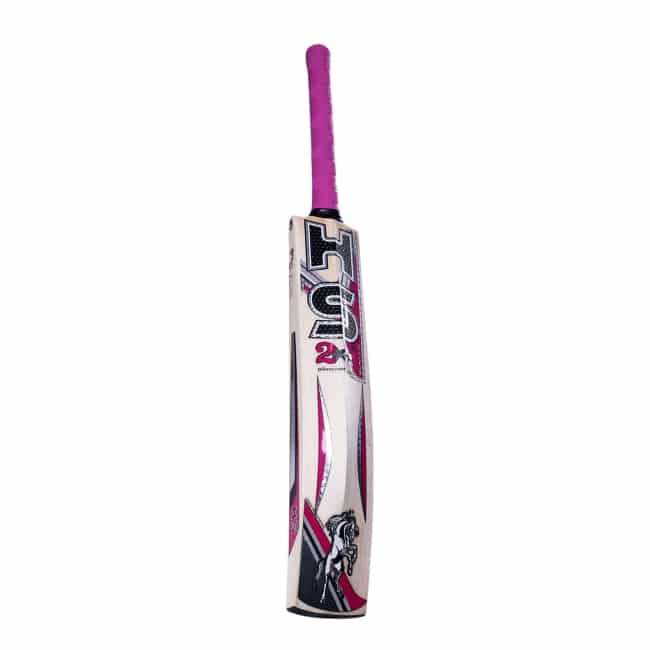 HS 2 Star Cricket Bat