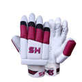 HS 2 Star Cricket Kit