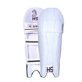 HS 2 Star Cricket Kit