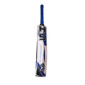 HS 3 Star Cricket Bat