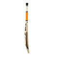 HS 41 Cricket Bat