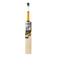 HS 41 Cricket Bat