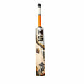 HS 41 Cricket Bat