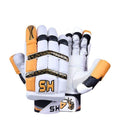 HS 41 Cricket Kit