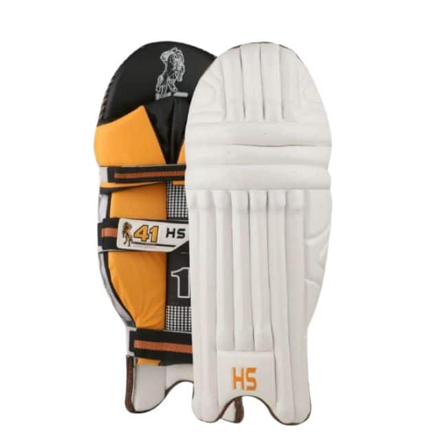 HS 41 Cricket Kit