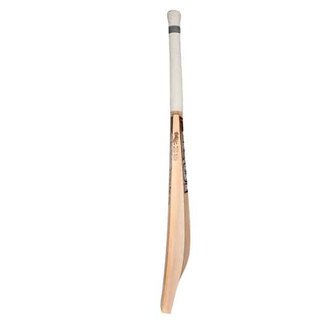 HS Apex Cricket Bat