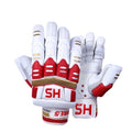 HS Core 5 Cricket Kit