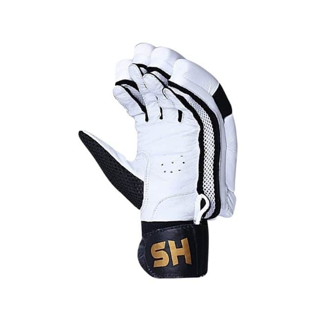 HS T20 Batting Gloves