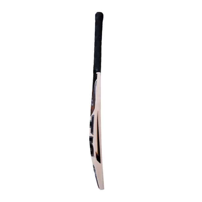HS T20 Cricket Bat