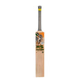 HS Titan Cricket Bat