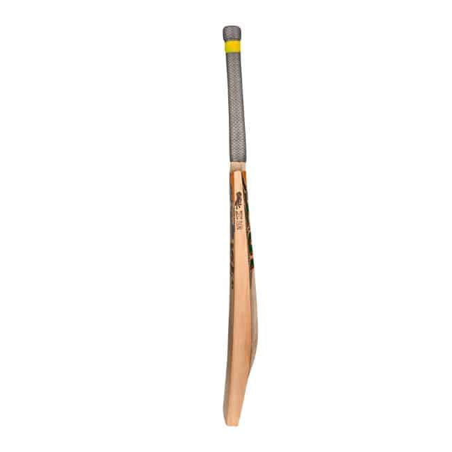 HS Titan Cricket Bat