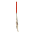 MB World Class (AK) Azam Khan Bat