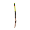 MIDS T20 Bat