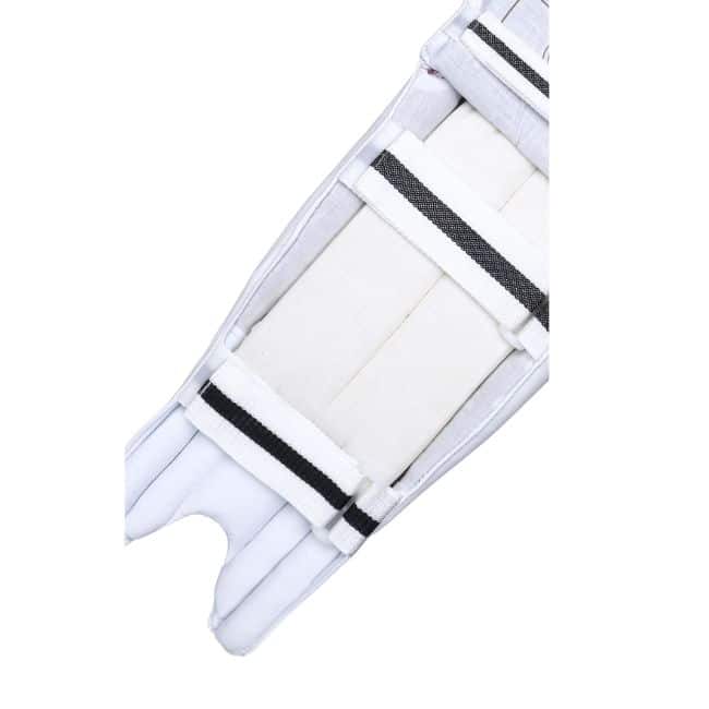 HS T20 Batting Pads
