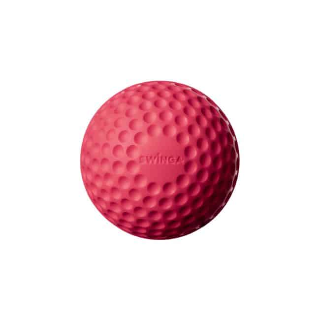 Swinga Cricket ball