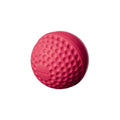 Swinga Cricket ball