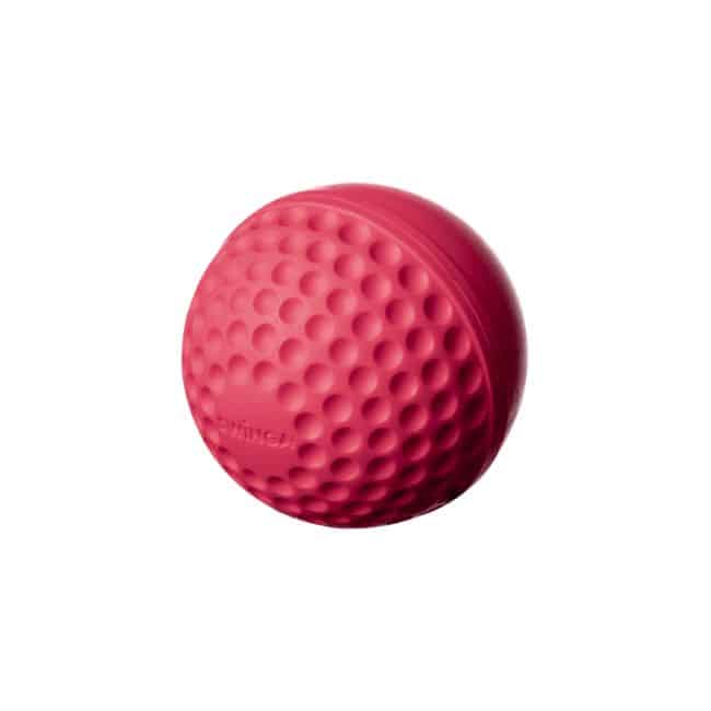 Swinga Cricket ball