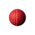 Swinga Cricket ball