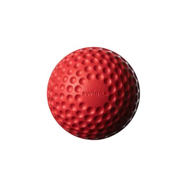 Swinga Cricket ball