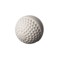 Swinga Cricket ball