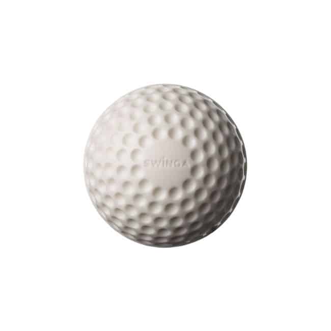 Swinga Cricket ball