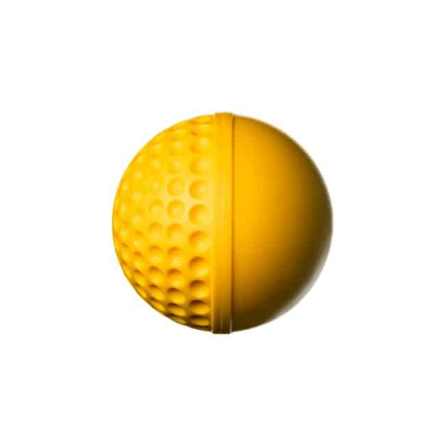 Swinga Cricket ball